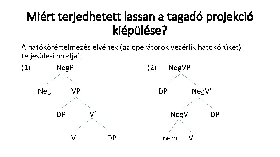 Miért terjedhetett lassan a tagadó projekció kiépülése? A hatókörértelmezés elvének (az operátorok vezérlik hatókörüket)