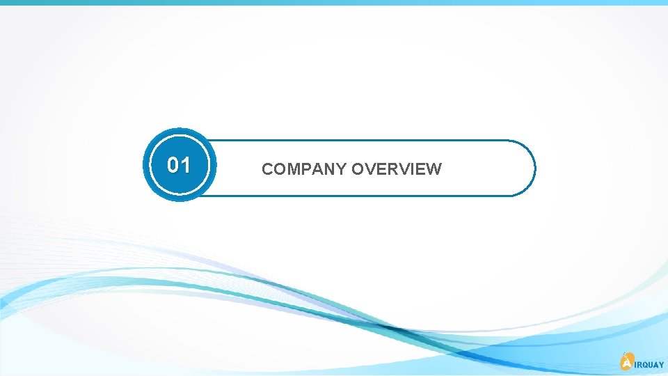 01 COMPANY OVERVIEW 