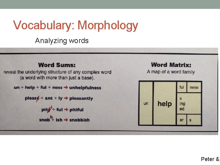 Vocabulary: Morphology Analyzing words Peter & Vocabulary: Morphology Analyzing words Peter &