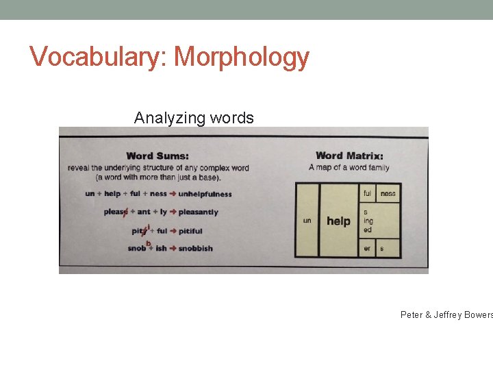 Vocabulary: Morphology Analyzing words Peter & Jeffrey Bowers Vocabulary: Morphology Analyzing words Peter & Jeffrey Bowers