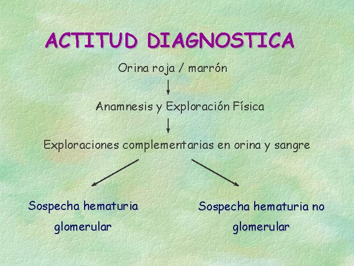 ACTITUD DIAGNOSTICA Orina roja / marrón Anamnesis y Exploración Física Exploraciones complementarias en orina