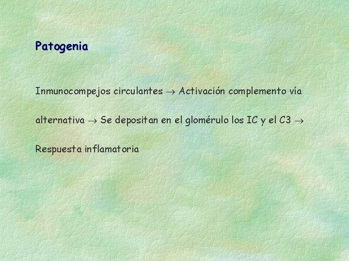 Patogenia Inmunocompejos circulantes Activación complemento vía alternativa Se depositan en el glomérulo los IC