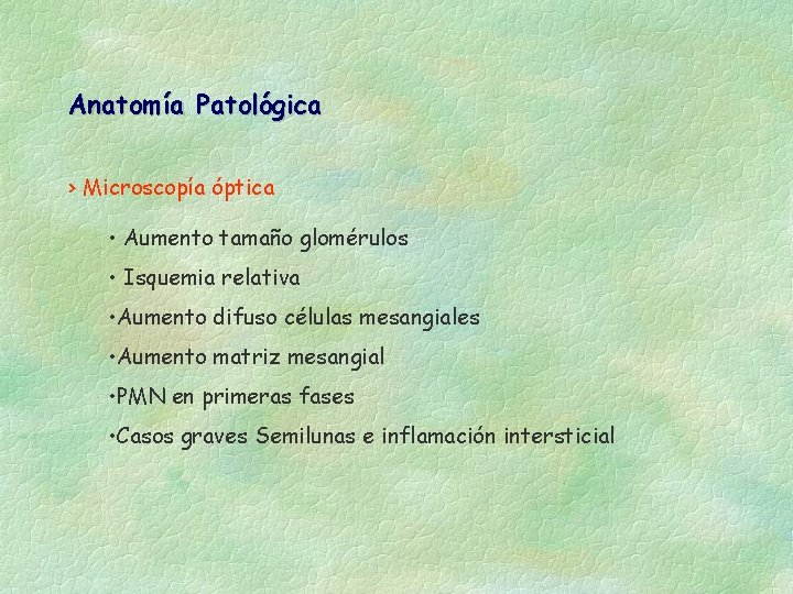 Anatomía Patológica › Microscopía óptica • Aumento tamaño glomérulos • Isquemia relativa • Aumento