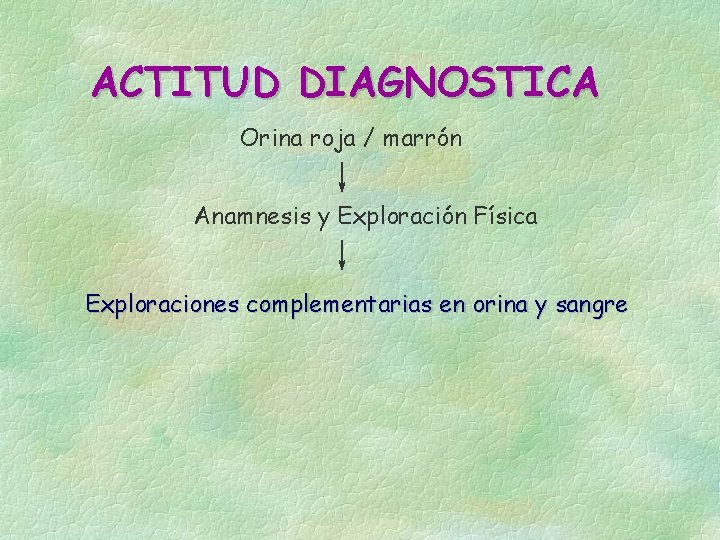 ACTITUD DIAGNOSTICA Orina roja / marrón Anamnesis y Exploración Física Exploraciones complementarias en orina ACTITUD DIAGNOSTICA Orina roja / marrón Anamnesis y Exploración Física Exploraciones complementarias en orina