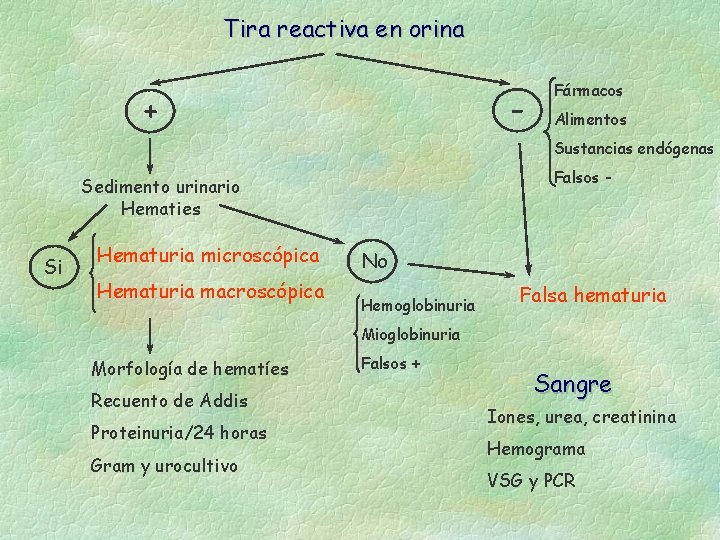 Tira reactiva en orina - + Fármacos Alimentos Sustancias endógenas Falsos - Sedimento urinario