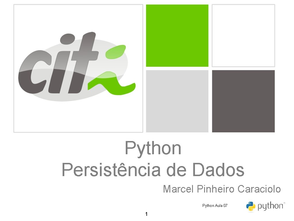 Python Persistência de Dados Marcel Pinheiro Caraciolo Python Aula 07 1 