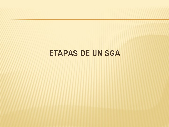 ETAPAS DE UN SGA 