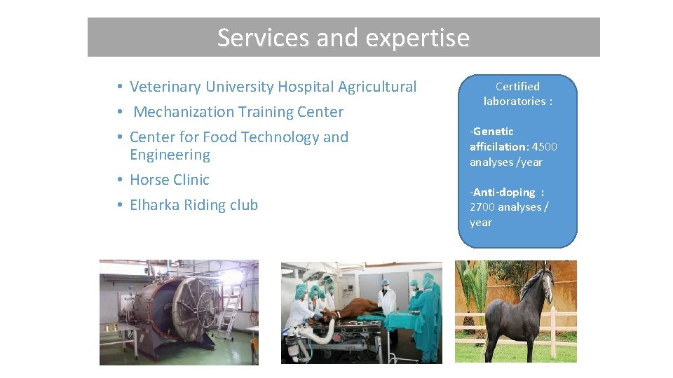 Services and expertise • Veterinary University Hospital Agricultural • Mechanization Training Center • Center