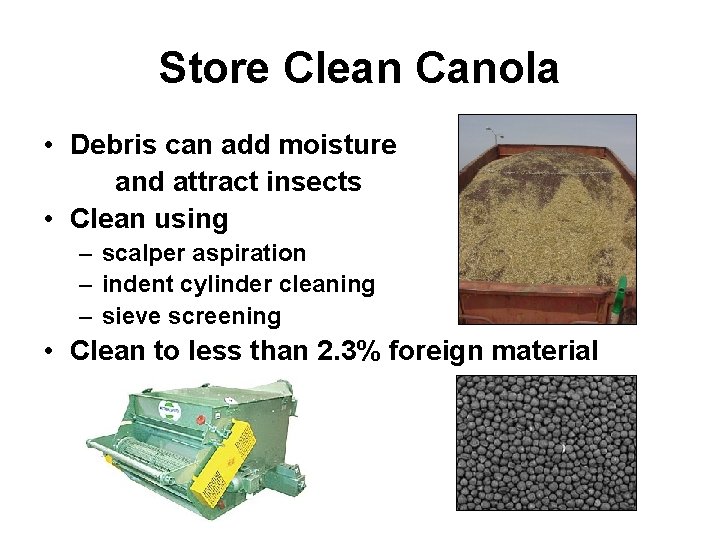 Store Clean Canola • Debris can add moisture and attract insects • Clean using