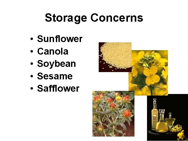 Storage Concerns • • • Sunflower Canola Soybean Sesame Safflower 