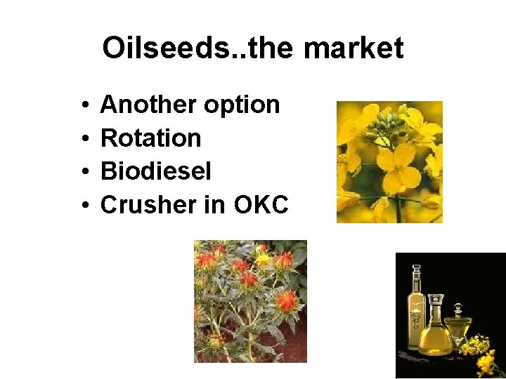 Oilseeds. . the market • • Another option Rotation Biodiesel Crusher in OKC 