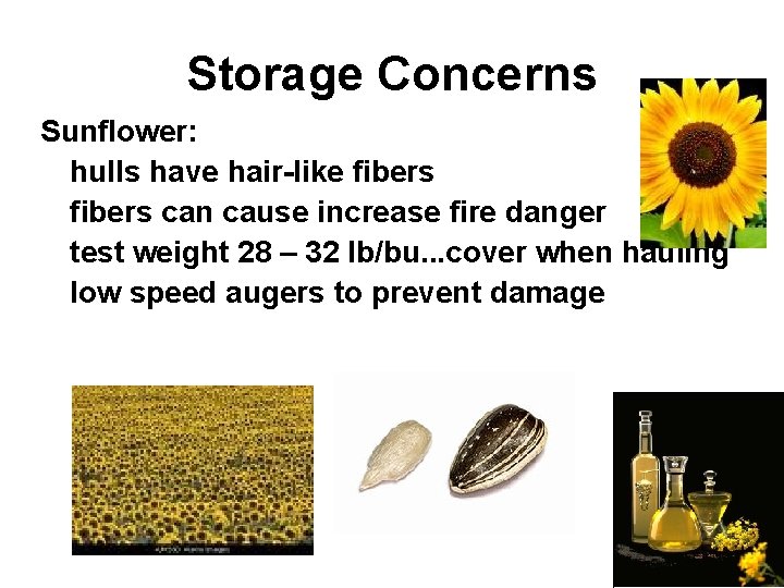 Storage Concerns Sunflower: hulls have hair-like fibers can cause increase fire danger test weight