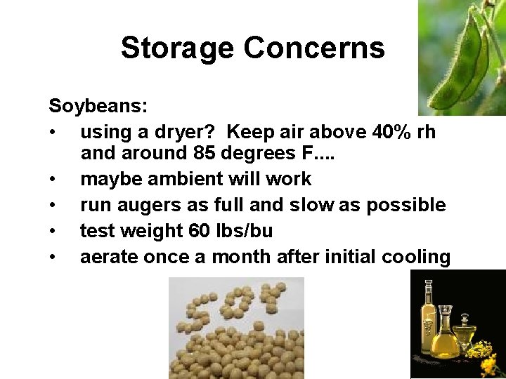 Storage Concerns Soybeans: • using a dryer? Keep air above 40% rh and around