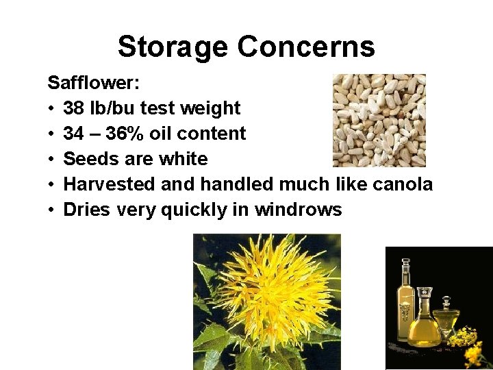 Storage Concerns Safflower: • 38 lb/bu test weight • 34 – 36% oil content