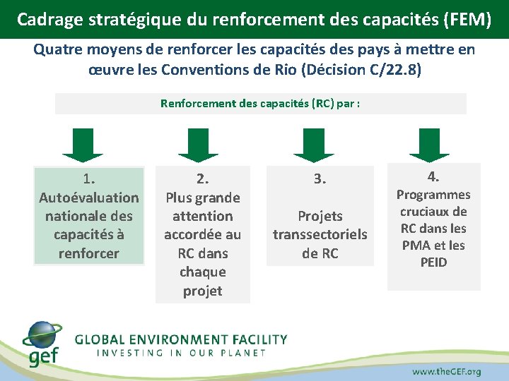 Cadrage stratégique du renforcement des capacités (FEM) APPROCHE STRATÉGIQUE DU RENFORCEMENT DES CAPACITÉS Quatre