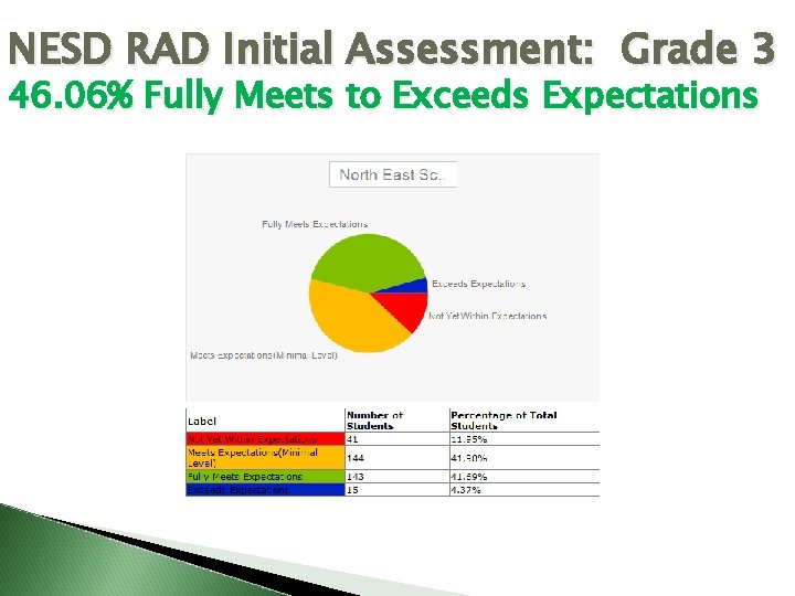 NESD RAD Initial Assessment: Grade 3 46. 06% Fully Meets to Exceeds Expectations NESD RAD Initial Assessment: Grade 3 46. 06% Fully Meets to Exceeds Expectations