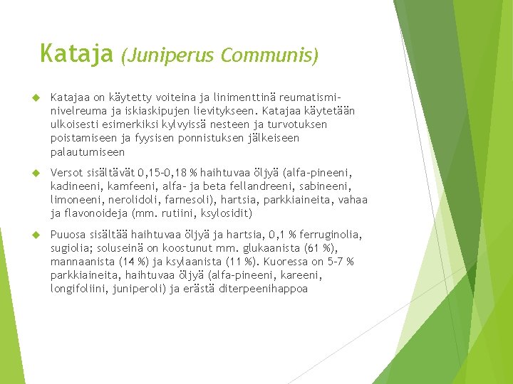 Kataja (Juniperus Communis) Katajaa on käytetty voiteina ja linimenttinä reumatisminivelreuma ja iskiaskipujen lievitykseen. Katajaa