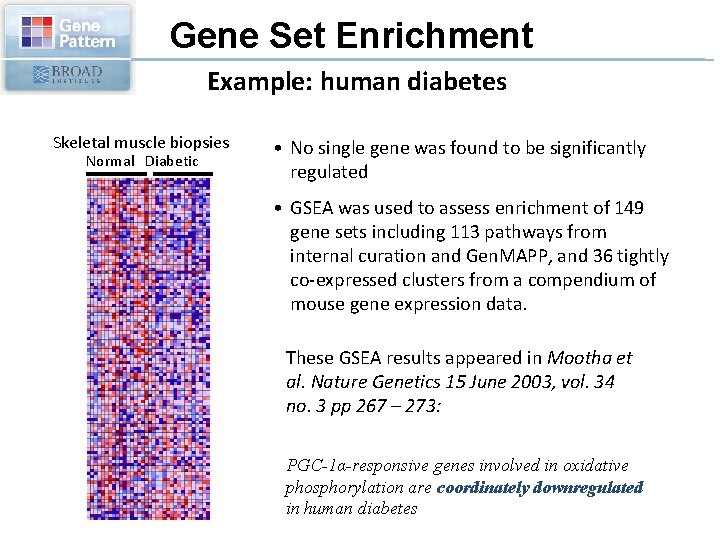 Gene Set Enrichment Example: human diabetes Skeletal muscle biopsies Normal Diabetic • No single