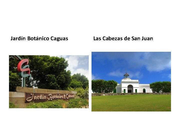 Jardín Botánico Caguas Las Cabezas de San Juan 