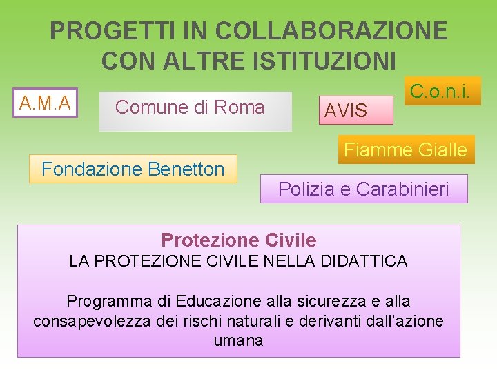 PROGETTI IN COLLABORAZIONE CON ALTRE ISTITUZIONI A. M. A Comune di Roma Fondazione Benetton