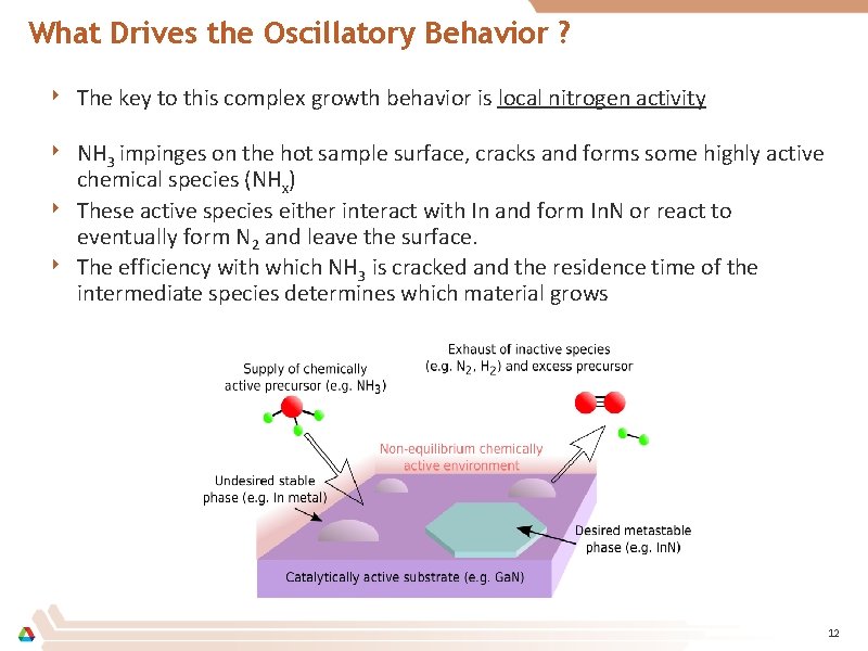 What Drives the Oscillatory Behavior ? ‣ The key to this complex growth behavior