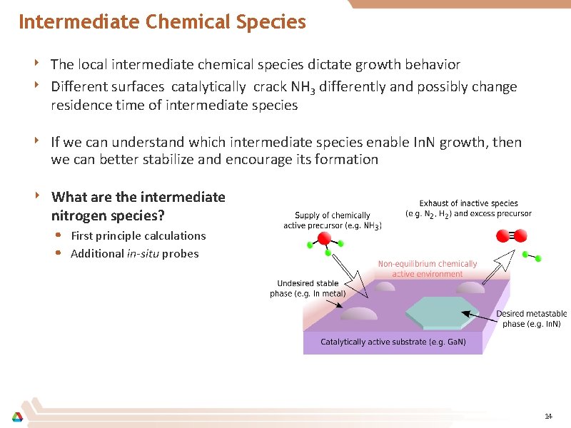 Intermediate Chemical Species ‣ The local intermediate chemical species dictate growth behavior ‣ Different