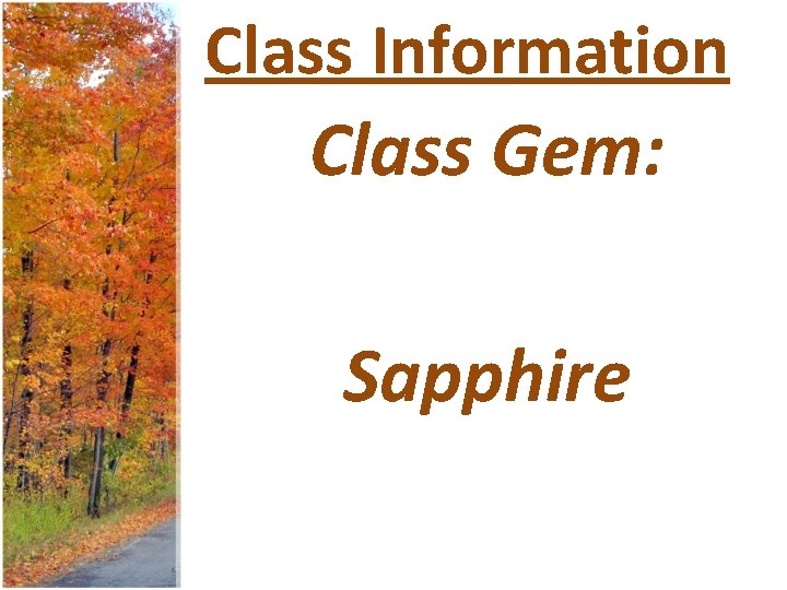Class Information Class Gem: Sapphire 