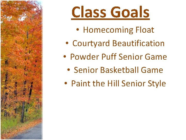 Class Goals • Homecoming Float • Courtyard Beautification • Powder Puff Senior Game •