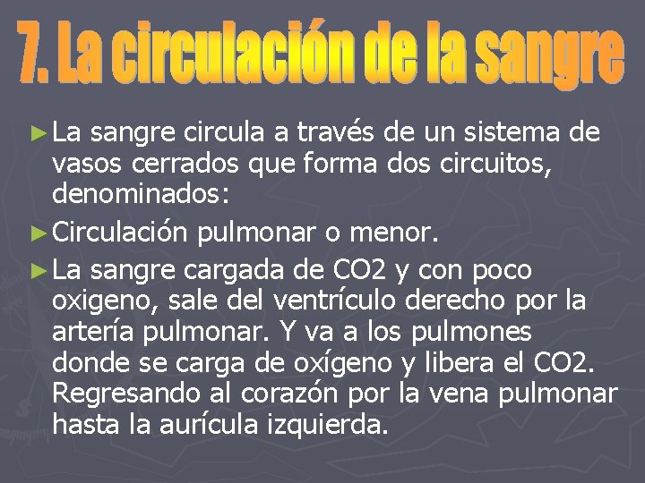 ► La sangre circula a través de un sistema de vasos cerrados que forma