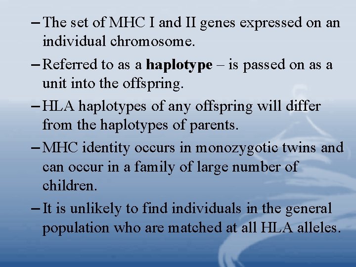 – The set of MHC I and II genes expressed on an individual chromosome. – The set of MHC I and II genes expressed on an individual chromosome.