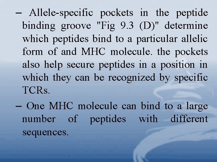 – Allele-specific pockets in the peptide binding groove "Fig 9. 3 (D)" determine which