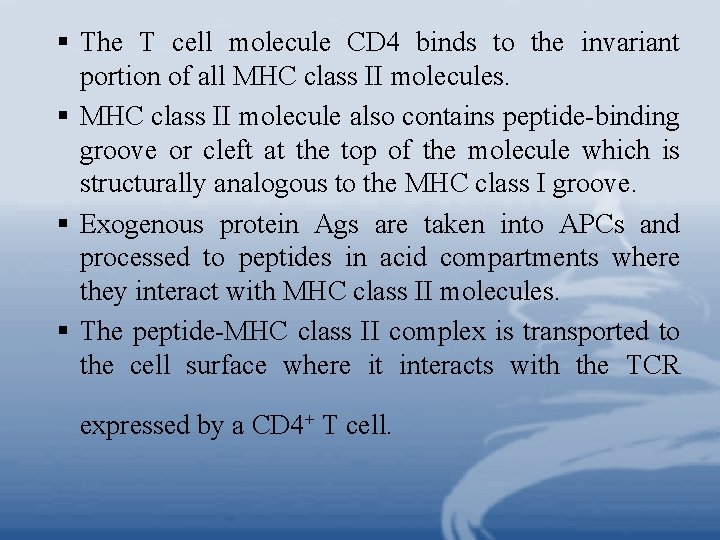 § The T cell molecule CD 4 binds to the invariant portion of all § The T cell molecule CD 4 binds to the invariant portion of all