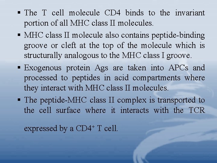 § The T cell molecule CD 4 binds to the invariant portion of all