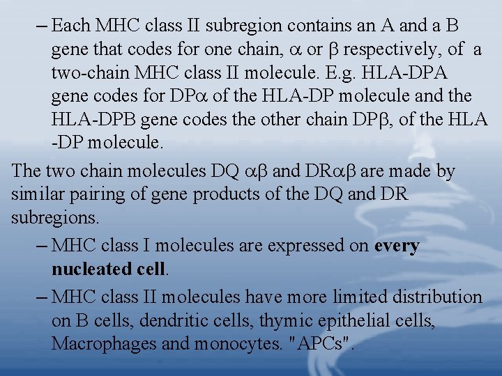 – Each MHC class II subregion contains an A and a B gene that – Each MHC class II subregion contains an A and a B gene that