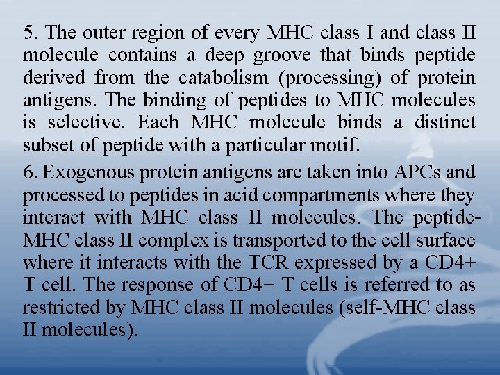 5. The outer region of every MHC class I and class II molecule contains