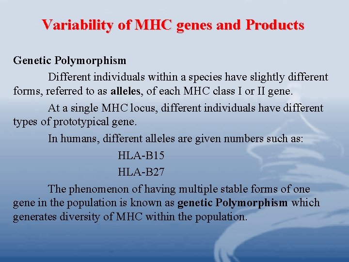 Variability of MHC genes and Products Genetic Polymorphism Different individuals within a species have Variability of MHC genes and Products Genetic Polymorphism Different individuals within a species have