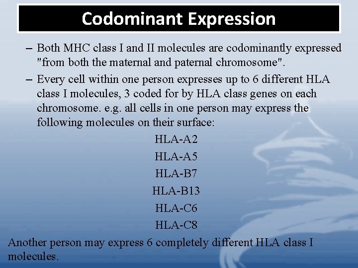Codominant Expression – Both MHC class I and II molecules are codominantly expressed "from Codominant Expression – Both MHC class I and II molecules are codominantly expressed "from