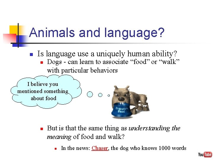 Animals and language? n Is language use a uniquely human ability? n Dogs -