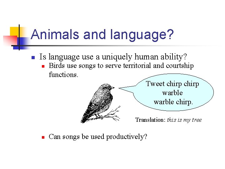 Animals and language? n Is language use a uniquely human ability? n Birds use