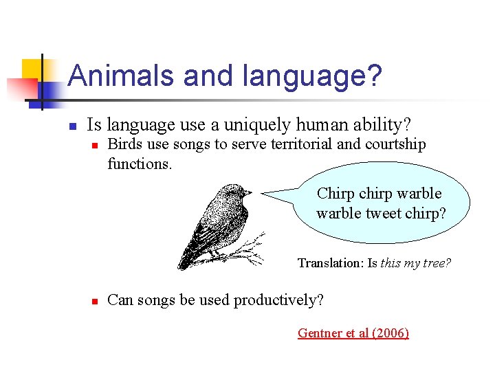 Animals and language? n Is language use a uniquely human ability? n Birds use