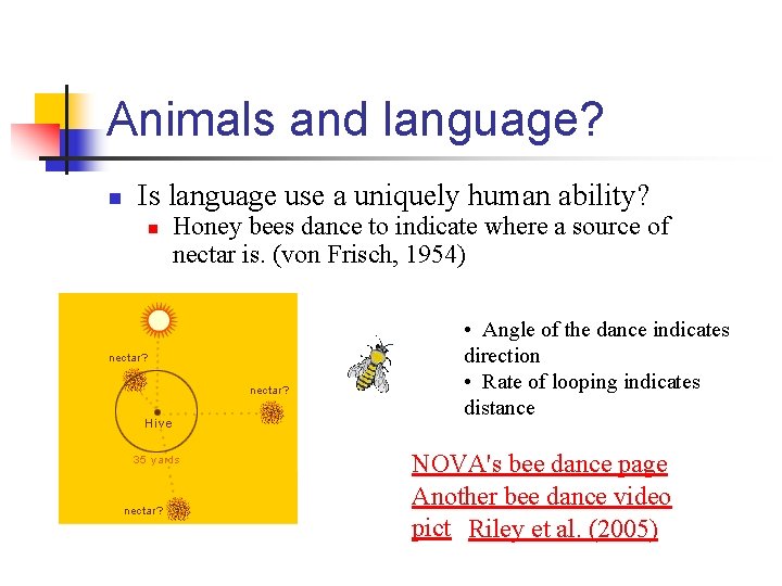 Animals and language? n Is language use a uniquely human ability? n Honey bees