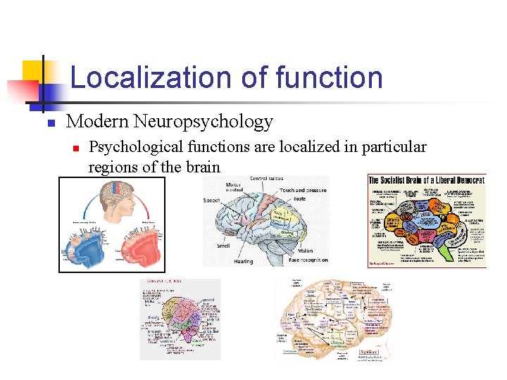 Localization of function n Modern Neuropsychology n Psychological functions are localized in particular regions