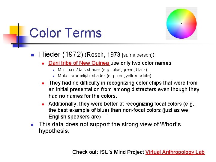 Color Terms n Hieder (1972) (Rosch, 1973 [same person]) n Dani tribe of New