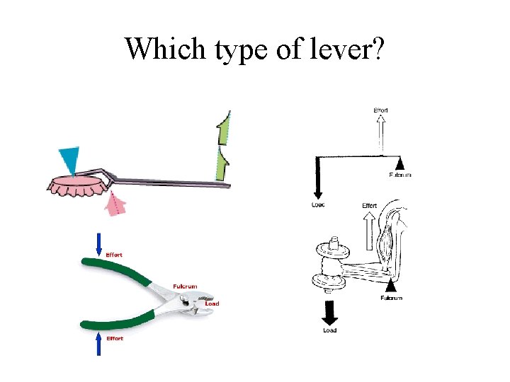 Which type of lever? 