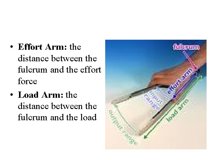  • Effort Arm: the distance between the fulcrum and the effort force •