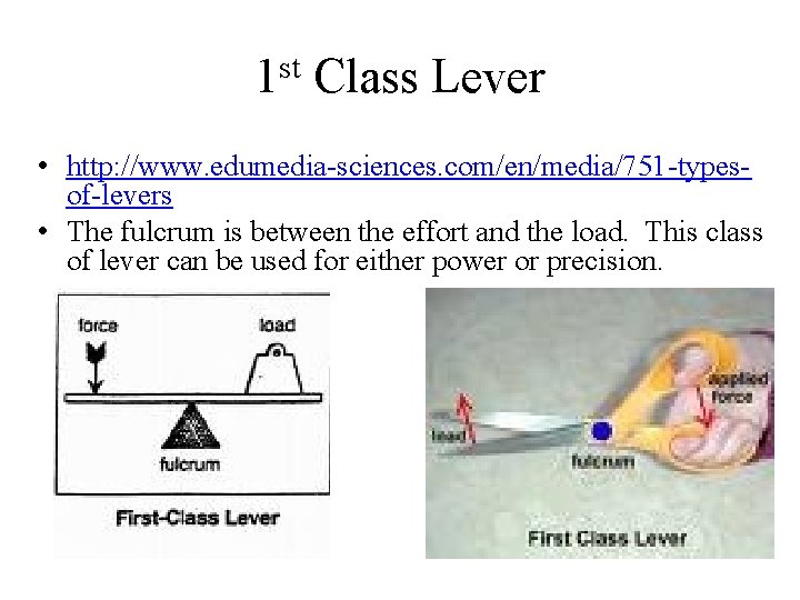 1 st Class Lever • http: //www. edumedia-sciences. com/en/media/751 -typesof-levers • The fulcrum is