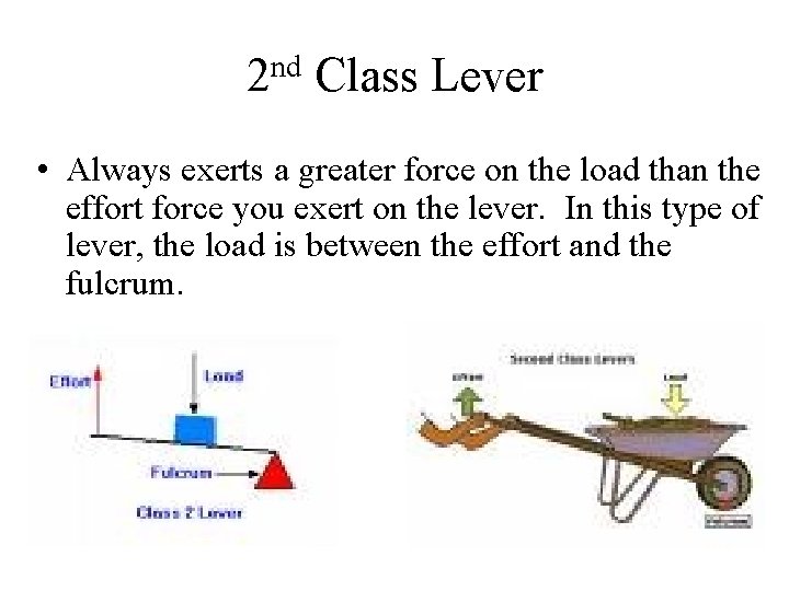 2 nd Class Lever • Always exerts a greater force on the load than