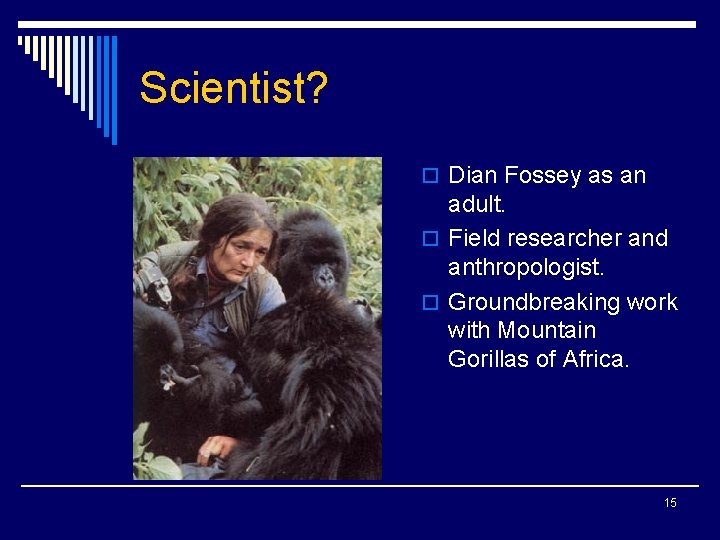 Scientist? o Dian Fossey as an adult. o Field researcher and anthropologist. o Groundbreaking