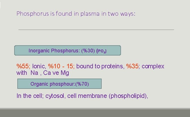 Phosphorus is found in plasma in two ways: Inorganic Phosphorus: (%30) (PO 4) %55;