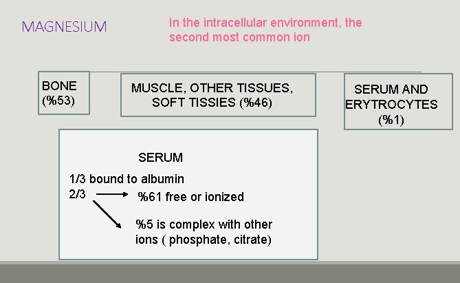 MAGNESIUM BONE (%53) In the intracellular environment, the second most common ion MUSCLE, OTHER